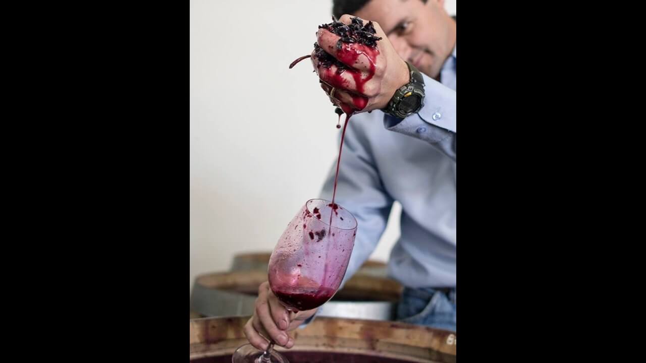 David Bonomi winemaker