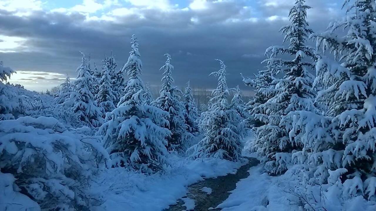 Nevada del 05.09.2016