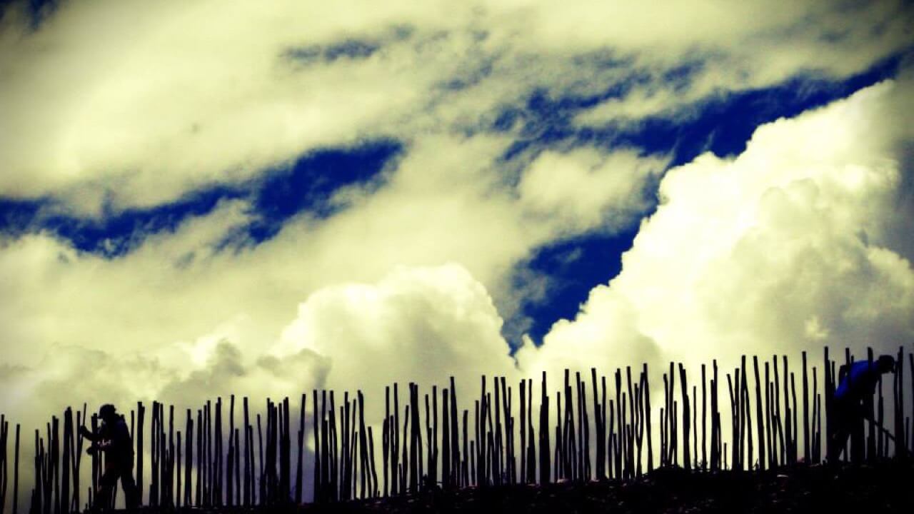 working in the gobelets